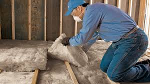 Best Attic Insulation Installation  in Homer, LA