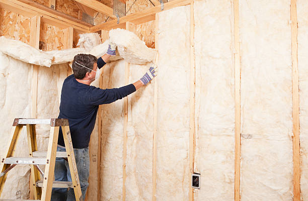 Best Attic Insulation Installation  in Homer, LA